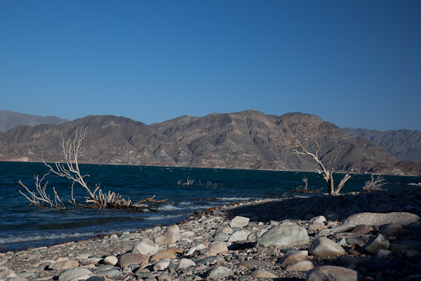 Interesting drift-wood like trees on the shores of Cuesta del Viento, Argentina Iffy winds on Cuesta del Viento still result in some good windsurfing photographs